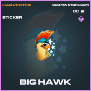 Big Hawk sticker in Black Ops Cold War and Warzone
