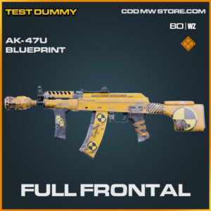 Full Frontal AK-47u blueprint skin in Cold War and Warzone