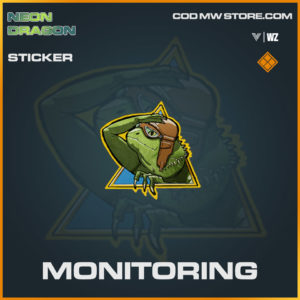 Monitoring sticker in Warzone and Vanguard